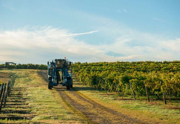 Harvest Moorhead