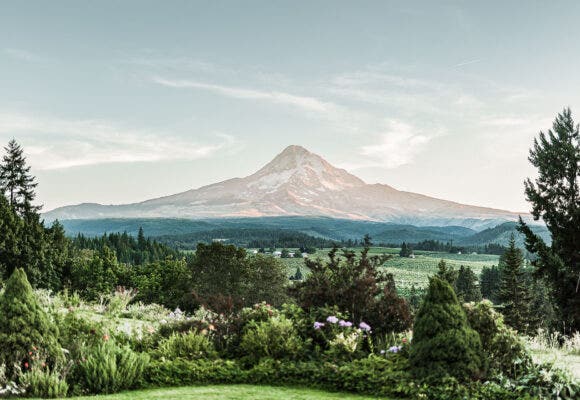 Mt.Hood Organic Farms