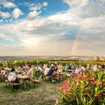 Vienna Taverns Ausblick